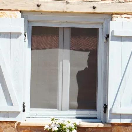 Des Hiboux A Egee Villa