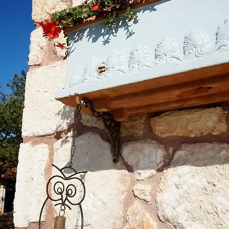 Des Hiboux A Egee Polýgyros